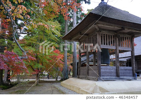 Hiraizumi Motsu-ji寺廟在秋天 46348457