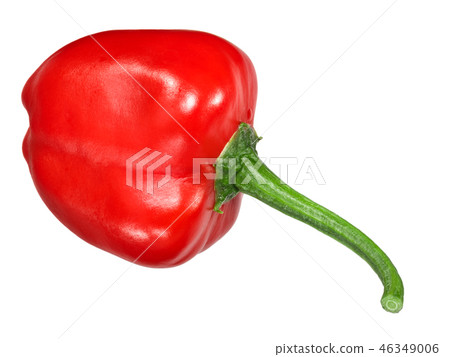 Malawi piquante pepperdew pepper, paths, top 46349006