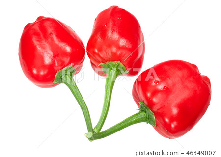 Malawi piquante pepperdew peppers, paths, top 46349007