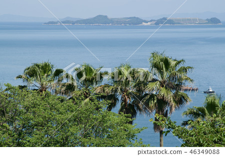 View of Seto seen from Seto Park of Ototo 46349088