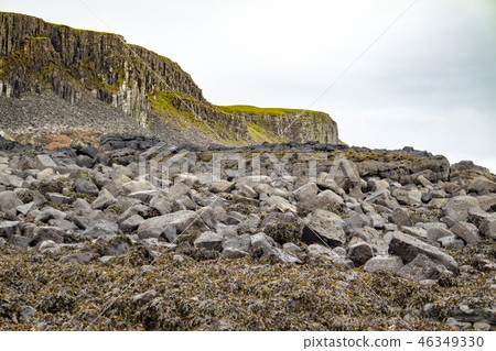 Seaweed at the coastline of north west Skye by Kilmuir - Scotland, United Kingdom 46349330