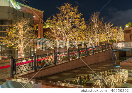 日本冬季惠比壽花園廣場照明2017 46350202