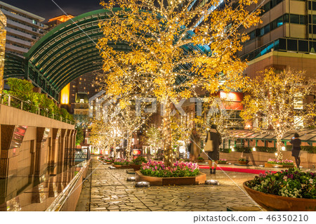 Japan's Winter Ebisu Garden Place Illumination 2017 46350210