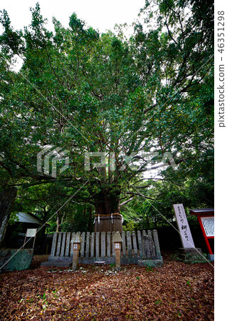 Kumano Hayatama Taisha _ No 1 Kumano Hayatama Taisha _ No 1 46351298