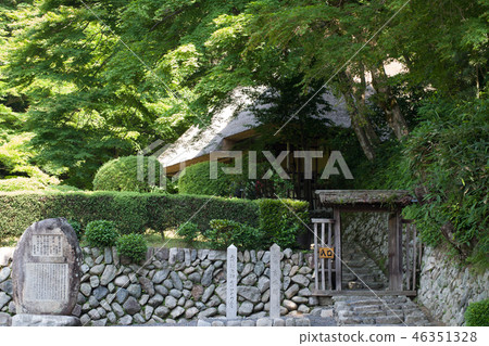 Beautiful Katsuyoshi water garden covered in fresh green Beautiful Katsuyoshi water garden covered in fresh green 46351328
