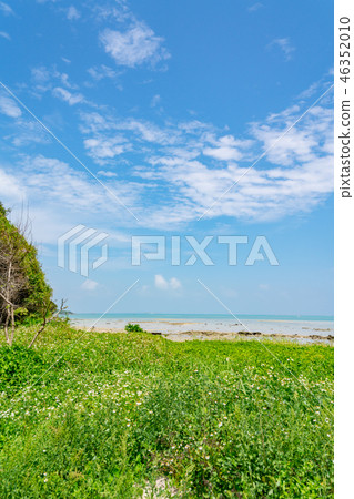 Coastal image Coastal image 46352010