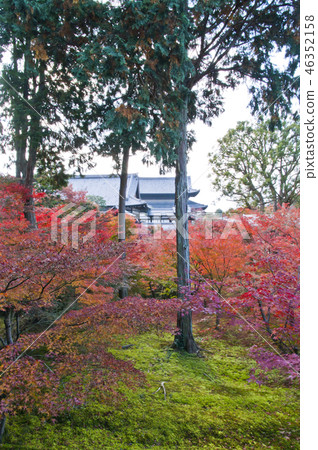 Kyoto Tofukuji Temple Sanjoji Aizendo 46352158