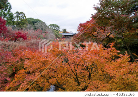 京都東福寺三條寺Aizendo 46352166