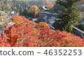 秋天的Haseji寺（奈良縣） 46352253