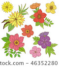 Flower pattern illustration material 46352280