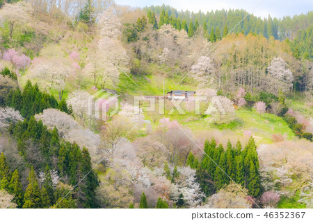 Spring Shinshu Ogawa (soft focus) 46352367