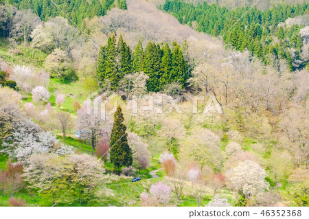 Spring Shinshu Ogawa 46352368