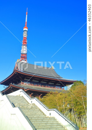 Zojoji Temple and Tokyo Tower under fine weather 46352403