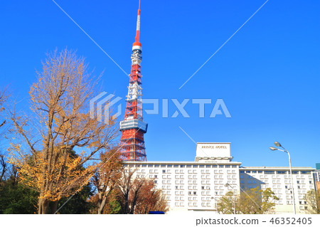 天氣晴朗時，東京塔和王子大飯店 46352405