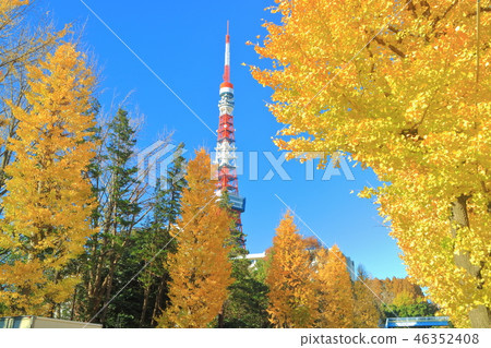 Tokyo Tower and autumn leaves under fine weather Tokyo Tower and autumn leaves under fine weather 46352408