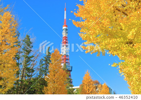 Tokyo Tower and autumn leaves under fine weather Tokyo Tower and autumn leaves under fine weather 46352410
