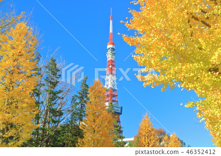 東京鐵塔和秋葉在晴朗的天氣下 東京鐵塔和秋葉在晴朗的天氣下 46352412