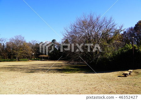 Katakura城堡廢墟公園Ninomaru露天場所 46352427