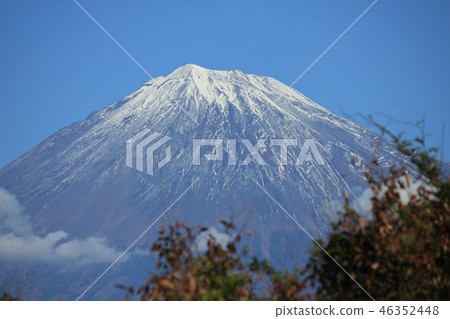 Mt. Fuji in autumn Mt. Fuji in autumn 46352448