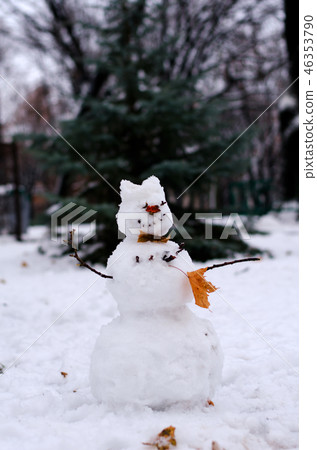 Snowman with autumn leaves 46353790