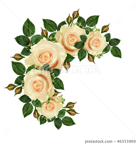 Rose flowers frame 46353909