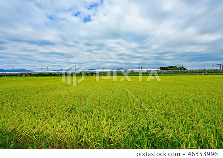 鎮風景中山路Aichikawajuku 46353996