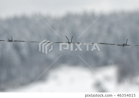 Barbed wire on the background of snow Barbed wire on the background of snow 46354015