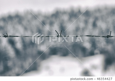 Barbed wire on the background of snow 46354427