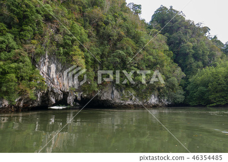 Sea forest on mountain in summer in Thailand Sea forest on mountain in summer in Thailand 46354485