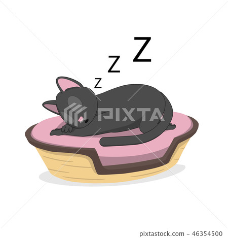A cat is sleeping in a basket. A cat is sleeping in a basket. 46354500