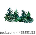 Watercolor hand drawn spruce. Christmas trees  46355132