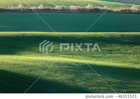 Minimalistic landscape with waves hills Minimalistic landscape with waves hills 46355523