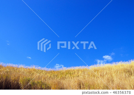 草甸和藍天 46356378