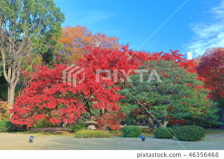 Autumnal leaves Rokugien Autumnal leaves Rokugien 46356468