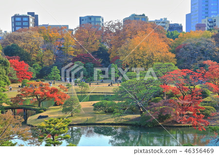 Autumnal leaves Rokugien Autumnal leaves Rokugien 46356469