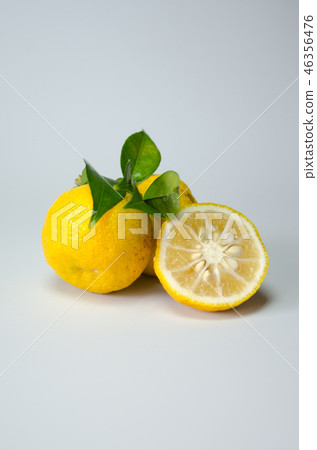 香櫞 香櫞 46356476