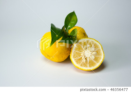 Citron  46356477