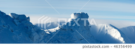 winter panorama winter panorama 46356499
