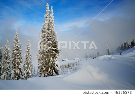 Winter landscape in mountains Winter landscape in mountains 46356578