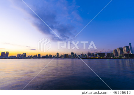 豐洲的晚上風景 46356613