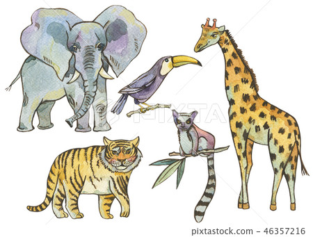 Watercolor tropical elements with elephant, tiger, giraffe, lemu 46357216