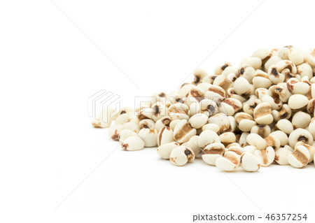 Hatomugi: Job's tears 46357254