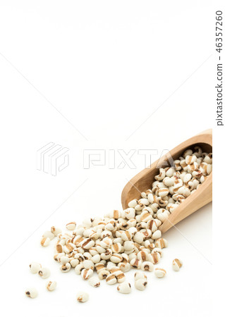 Hatomugi:約伯的眼淚 Hatomugi:約伯的眼淚 46357260