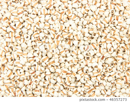 Hatomugi: Job's tears 46357273