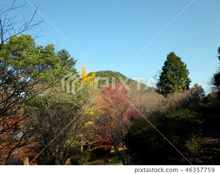 Shibata Park in the autumn (Kamada pond) 46357759
