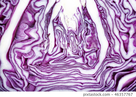 purple cabbage as background purple cabbage as background 46357767