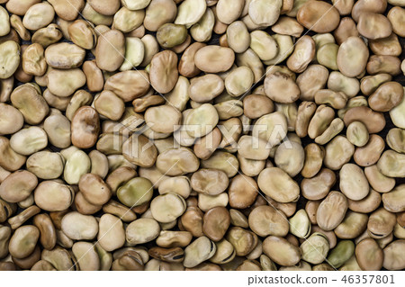 dry beans as background dry beans as background 46357801