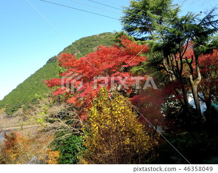 柴田池塘(拉姆薩爾公約指定池塘) 柴田池塘(拉姆薩爾公約指定池塘) 46358049