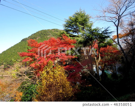 柴田池塘(拉姆薩爾公約指定池塘) 柴田池塘(拉姆薩爾公約指定池塘) 46358051