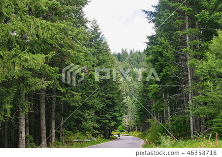 Road through Rila mountain in Bulgaria 46358718